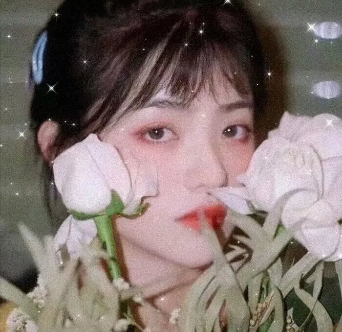 向阳的日子